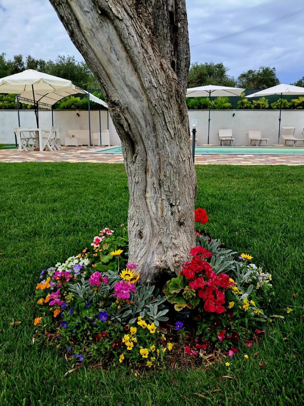 Villa Ginevra San Pasquale Εξωτερικό φωτογραφία